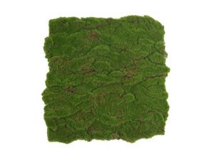 Panel umělý Moss Base V (50x50cm)