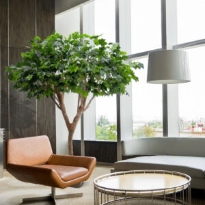 Umělý strom Javor „Umbrella“ Gigant (240cm)