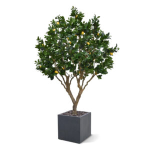 Umělý strom Citrusovník XL (250cm)