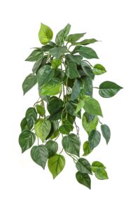 Umělá rostlina Philo (70cm) – FR