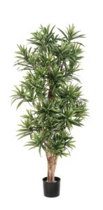 Umělý strom Dracaena Reflexa (150cm) – FR