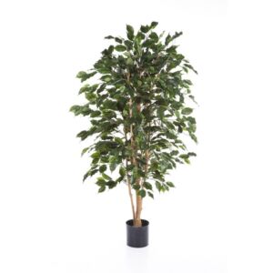 Umělý strom Ficus Exotica (180cm) – FR