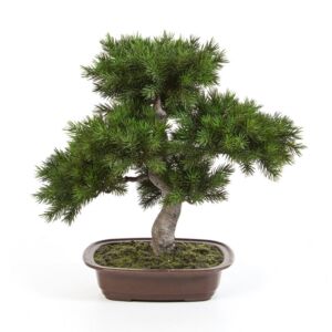 Umělá bonsai Pinie (48cm) – v misce