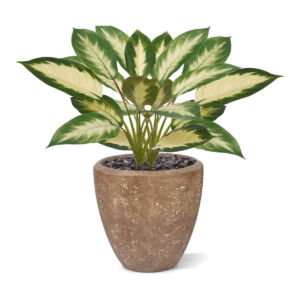 Umělá rostlina Dieffenbachia Camilla  bukett (45cm)