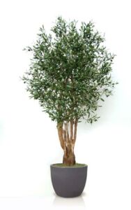Umělý strom Olive Malabar
