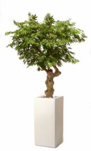 Umělý strom Maple Crown (150cm)