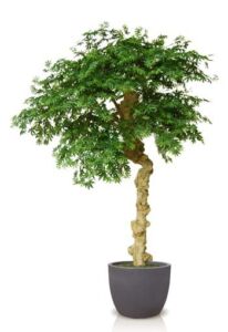 Umělý strom Maple Nidra (250cm)