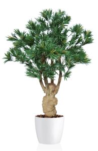 Umělý strom Podocarpus Crown Mini (110cm)