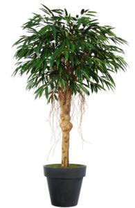 Umělý strom Longifolia Riviera (200cm)
