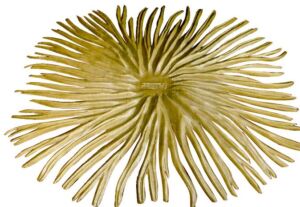 Panel z palmových listů kruhový pro RIO/ALOHA