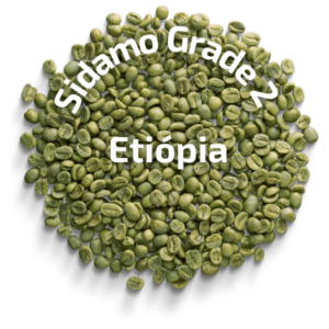Zelená káva Etiópia Sidamo Gr.2 Abeba