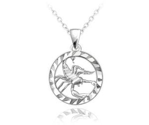 MINET Stříbrný náhrdelník Zodiac znamení ŠTÍR