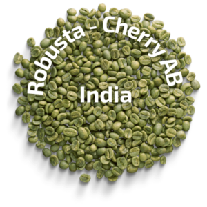 Zelená káva India Robusta – Cherry AB