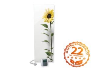 ECOSUN 500 GS+ Mirror