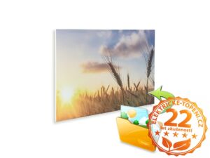 Ecosun 850 Basic s potiskem