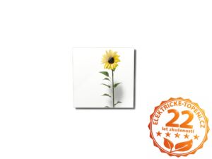 ECOSUN 300 GS-Wifi Mirror