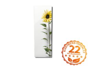 ECOSUN 500 GS-Wifi Mirror