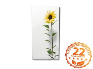 ECOSUN 600 GS-Wifi Mirror