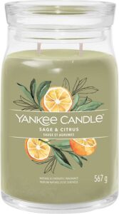 Yankee Candle vonná svíčka Signature ve skle velká Sage & Citrus 567g