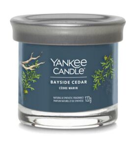 Yankee Candle vonná svíčka Tumbler ve skle malá Signature Bayside Cedar 122g