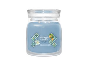 Yankee Candle vonná svíčka Signature ve skle střední Azure Sky 368g